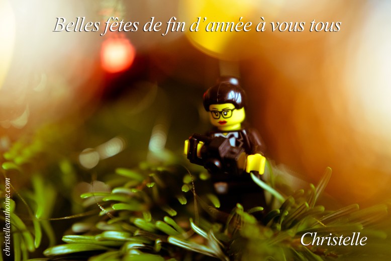 meilleurs-voeux-2017-photographe-bretagne-christelle-anthoine-photographe