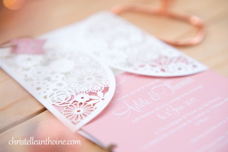 Christelle Anthoine Photographe mariage bretagne côtes d'armor saint brieuc château des marais hillion