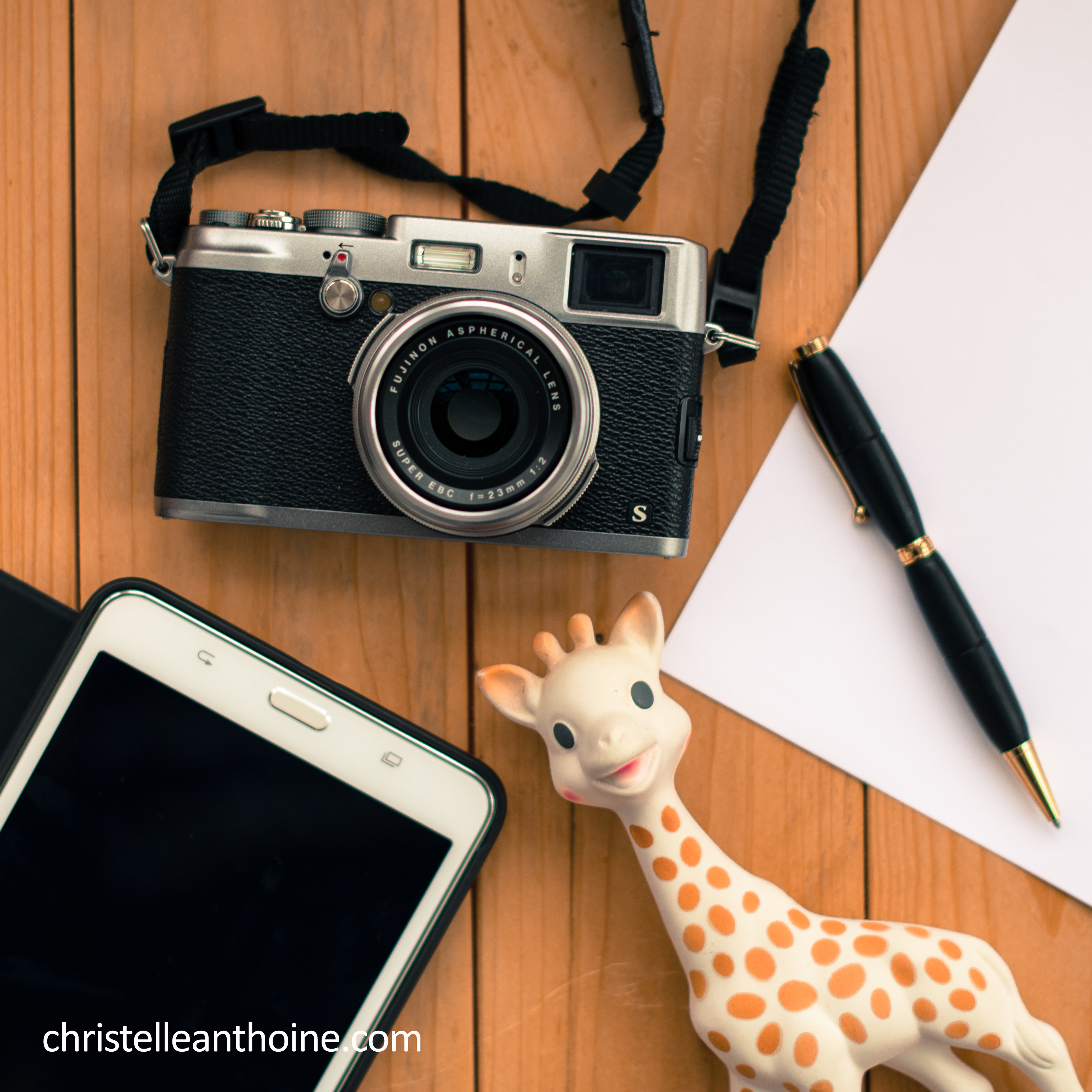 Christelle Anthoine photographe Saint brieuc maraige portrait