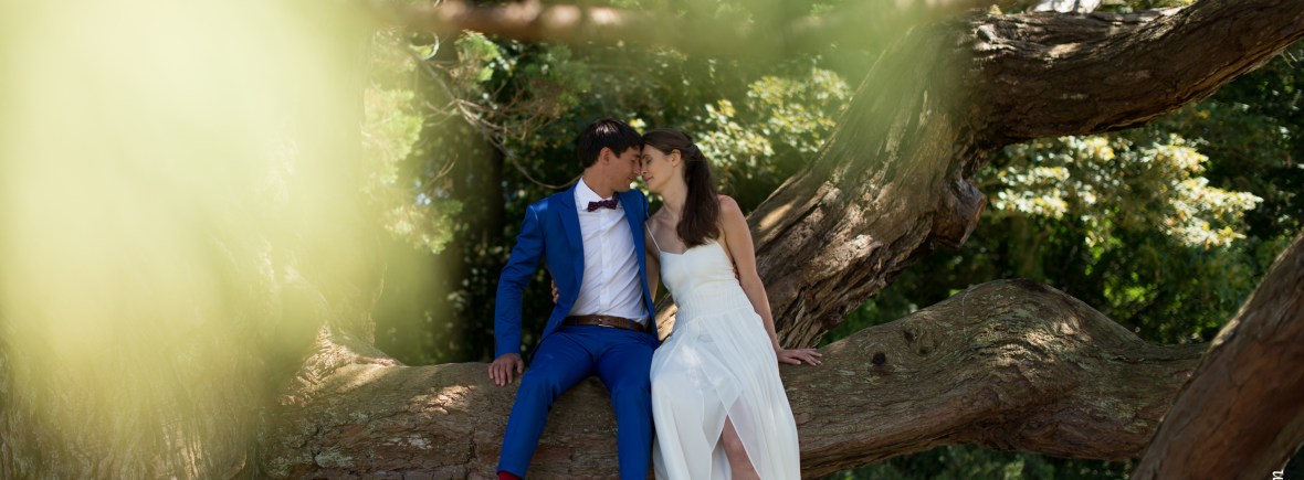 Photographe mariage côtes d'armor
